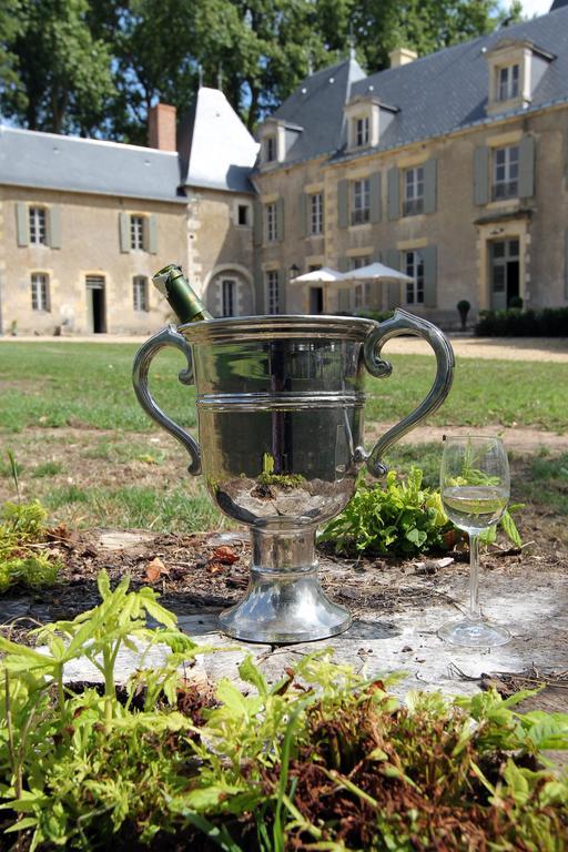 Chateau De Planchevienne Magny-Cours Exterior photo